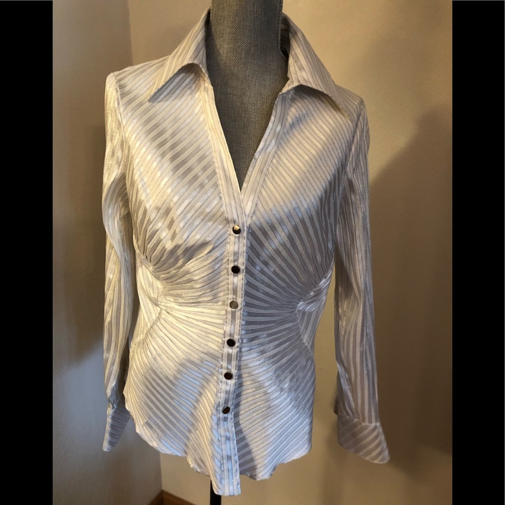 Beautiful Cache blouse